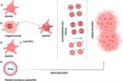 Inflammation and Cancer: From the Development of Personalized Indicators to Novel Therapeutic Strategies